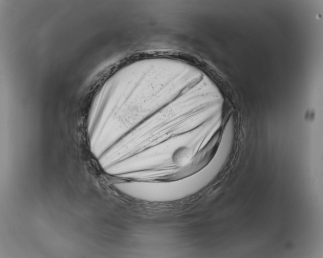 X0000114441351200911131506