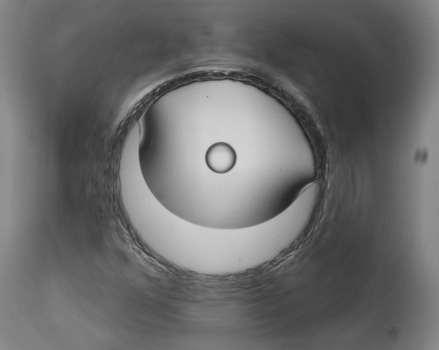 X0000114441352200911131506