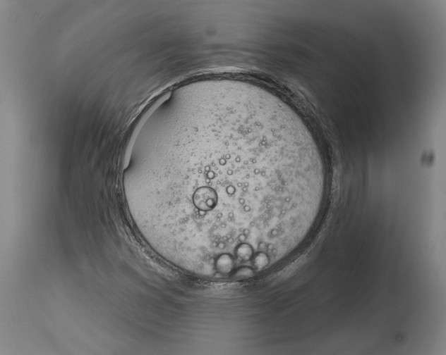 X0000114441353200911131506