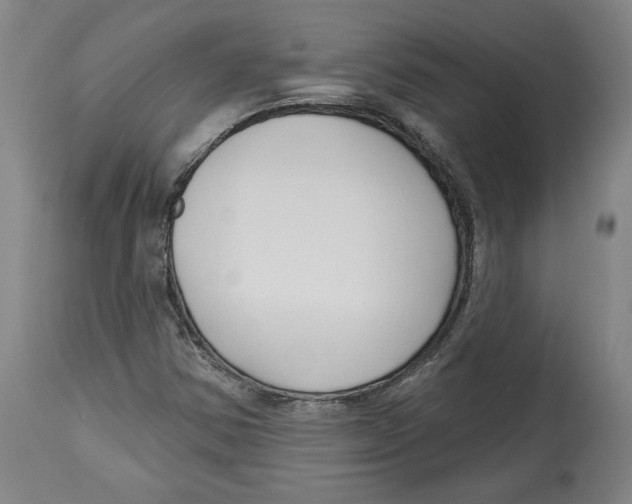 X0000114441354200911131506