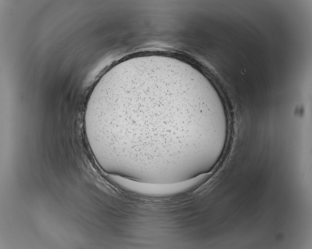 X0000114441355200911131506