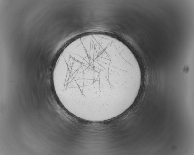 X0000114441356200911131506