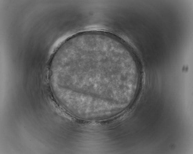 X0000114441358200911131506