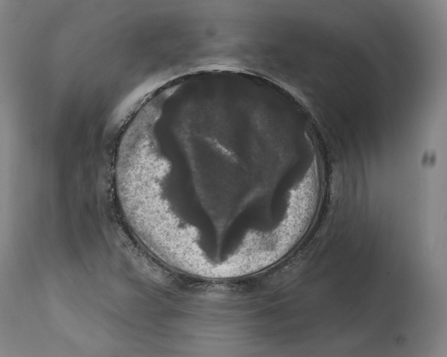 X0000114441359200911131506