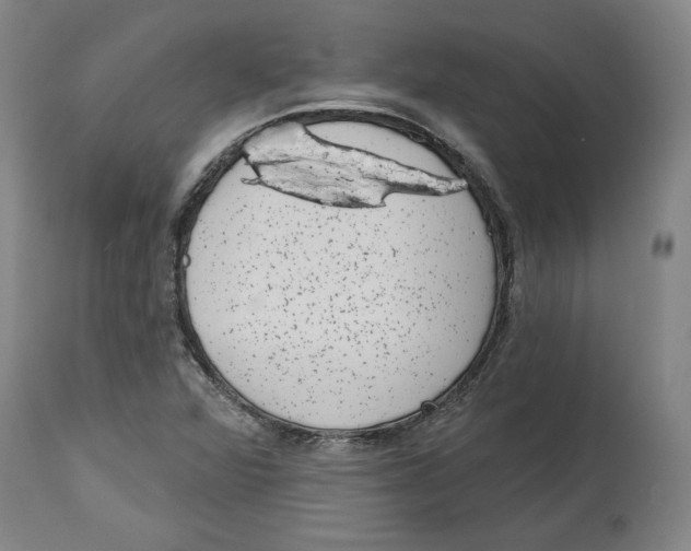 X0000114441360200911131506