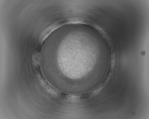 X0000114441361200911131506