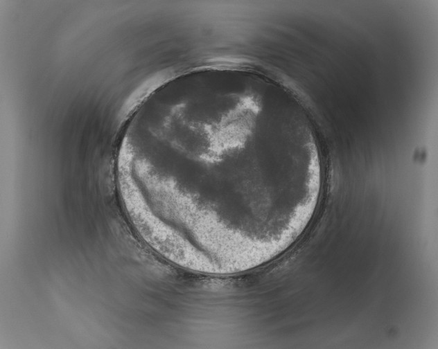 X0000114441362200911131506