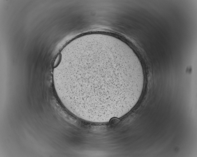 X0000114441363200911131506