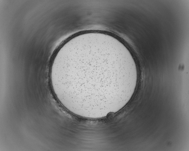 X0000114441364200911131506