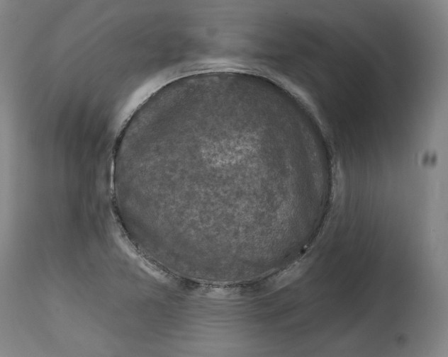 X0000114441365200911131506