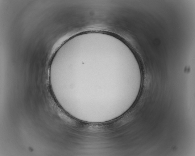 X0000114441366200911131506