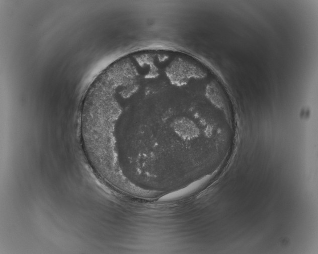 X0000114441367200911131506