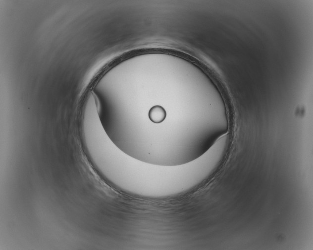 X0000114441368200911131506