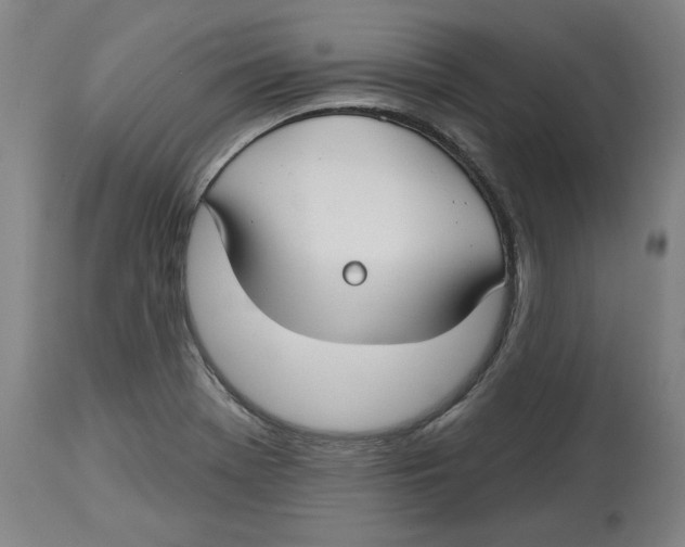 X0000114441369200911131506