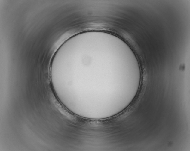 X0000114441370200911131506