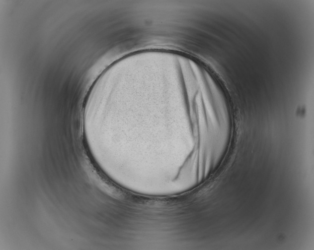 X0000114441371200911131506