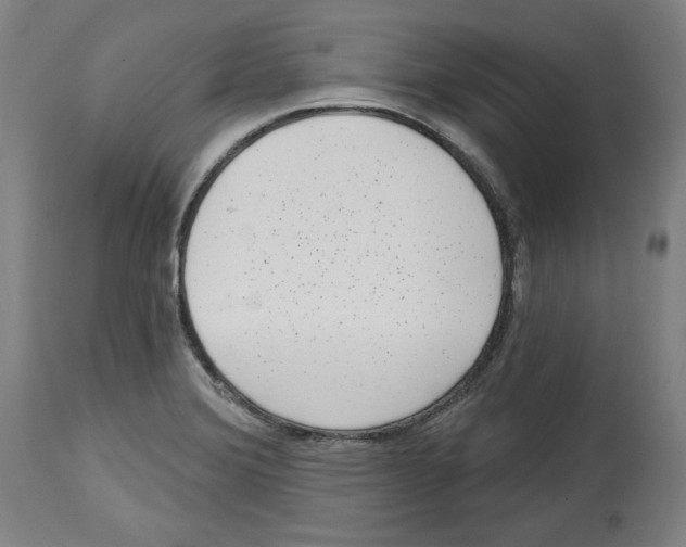 X0000114441372200911131506