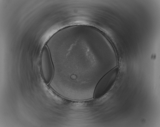 X0000114441373200911131506