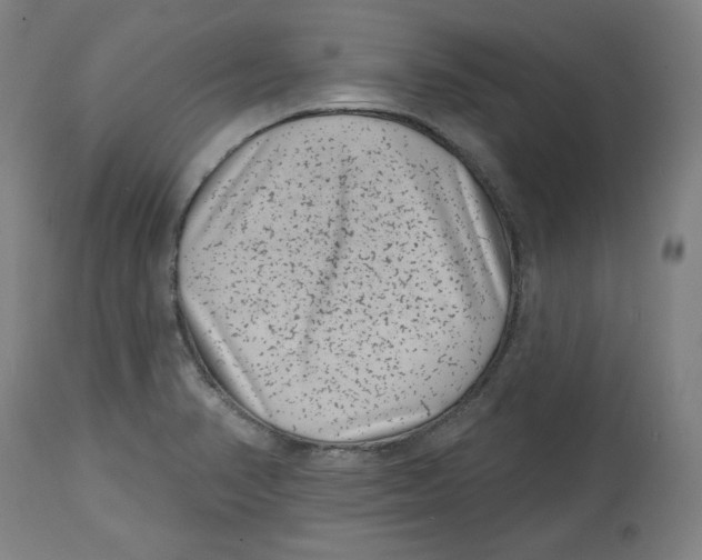 X0000114441374200911131506