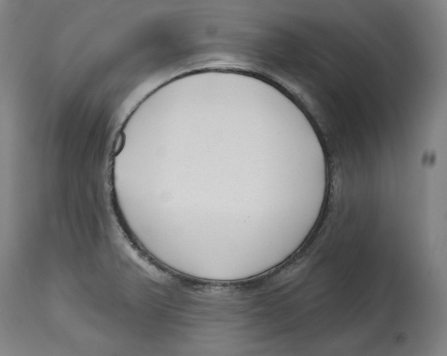 X0000114441375200911131506