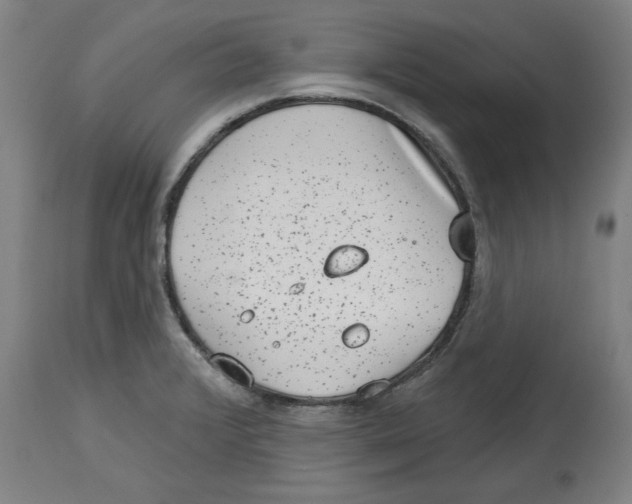 X0000114441376200911131506