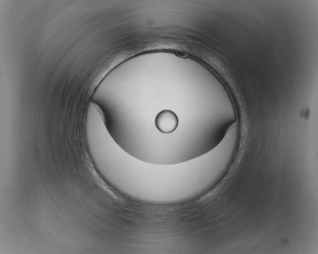 X0000114441377200911131506