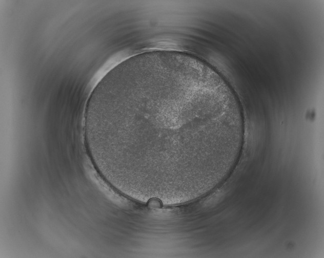 X0000114441378200911131506