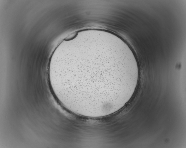 X0000114441379200911131506