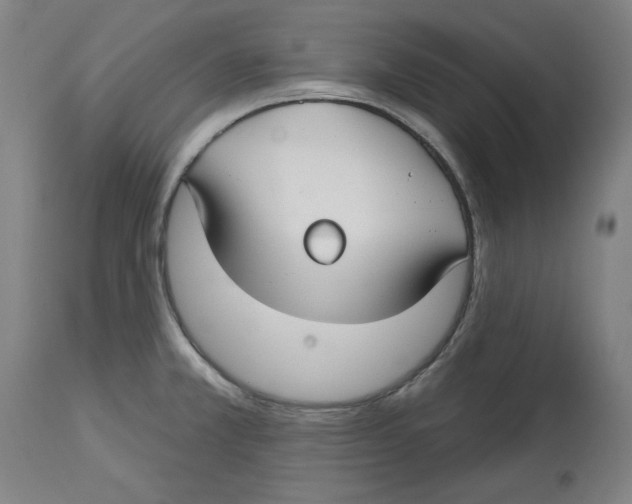 X0000114441381200911131506