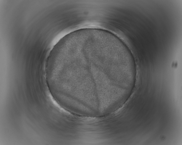 X0000114441382200911131506