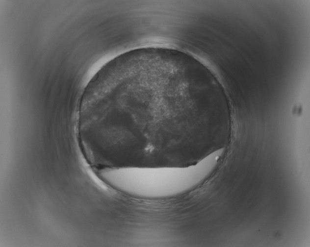 X0000114441383200911131506