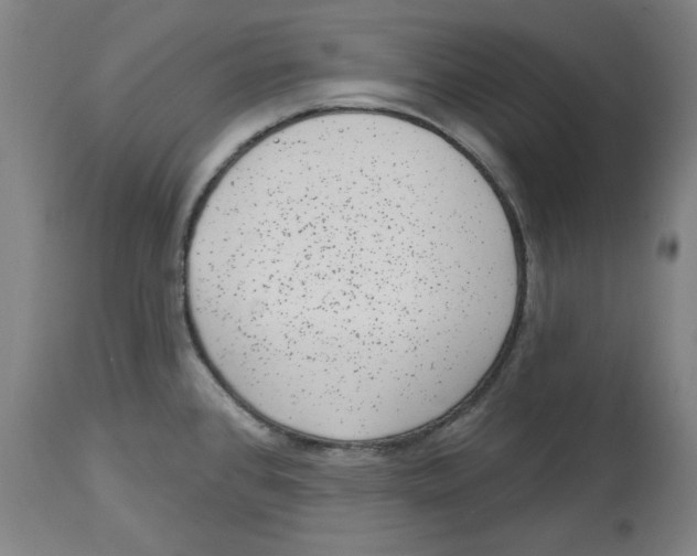 X0000114441384200911131506