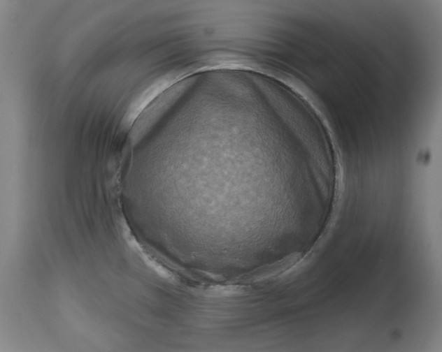 X0000114441385200911131506