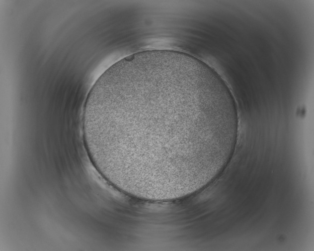 X0000114441386200911131506