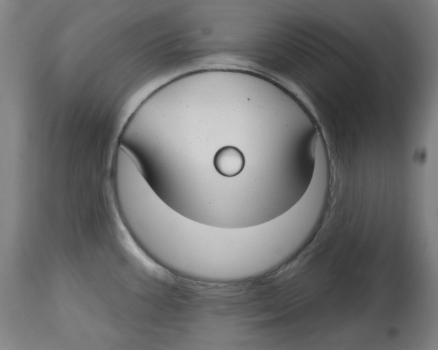 X0000114441387200911131506