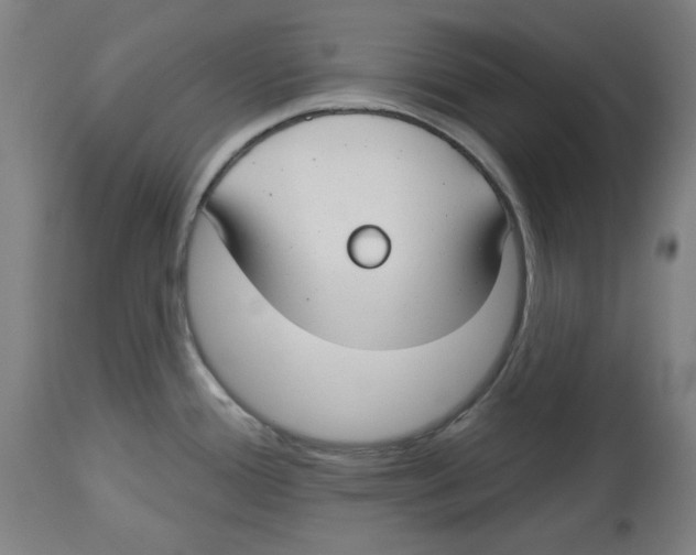 X0000114441388200911131506