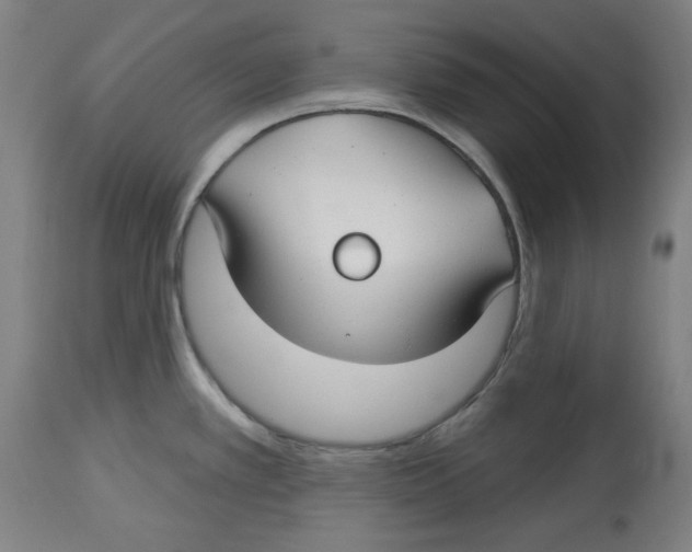 X0000114441389200911131506