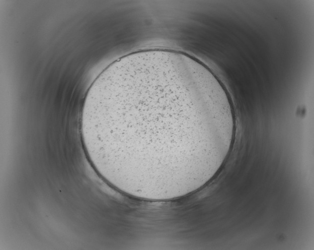 X0000114441390200911131506