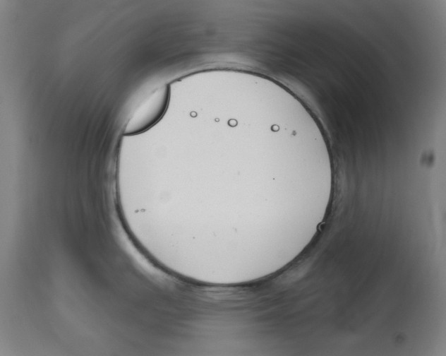 X0000114441391200911131506