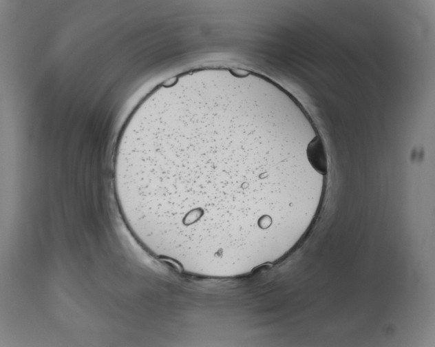 X0000114441392200911131506