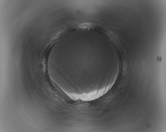 X0000114441394200911131505