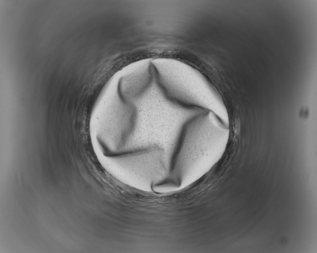 X0000114441396200911131505