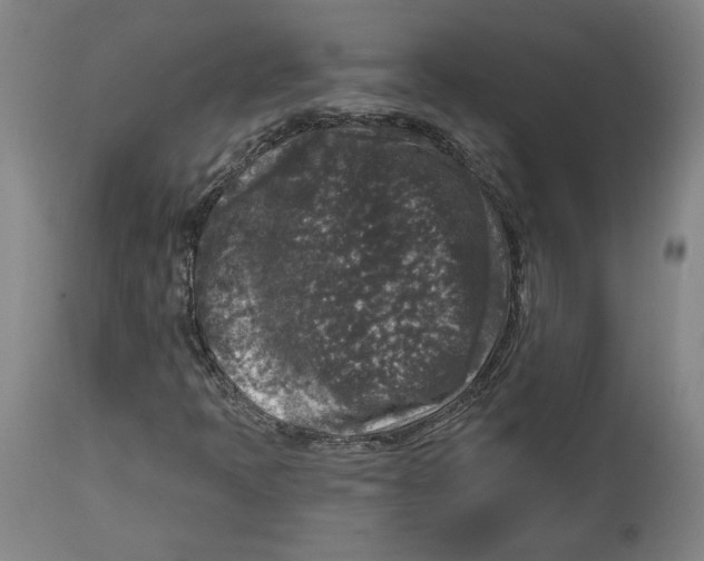 X0000114441397200911131505