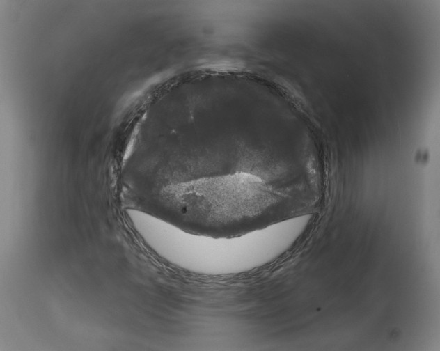 X0000114441398200911131505