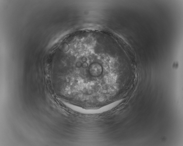 X0000114441399200911131505