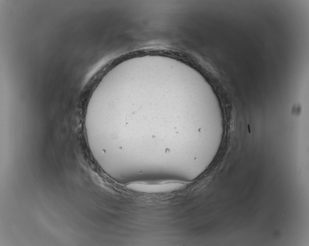 X0000114441400200911131505