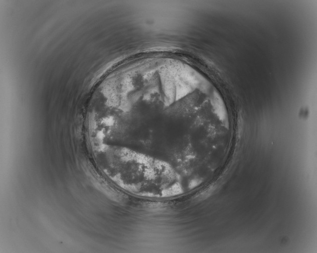 X0000114441401200911131505