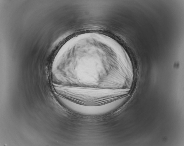 X0000114441402200911131505