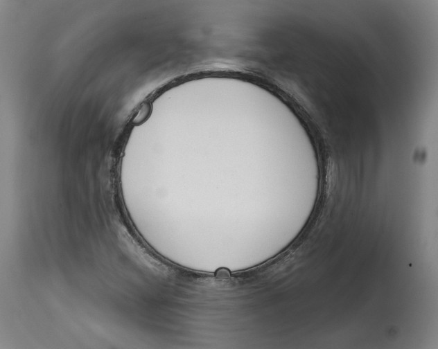 X0000114441404200911131505