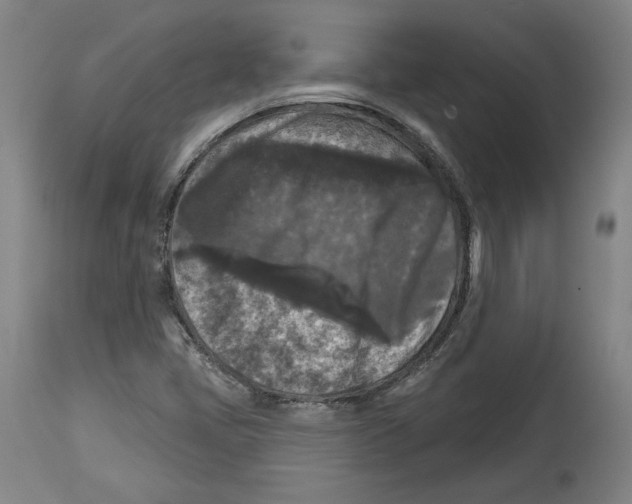 X0000114441405200911131505